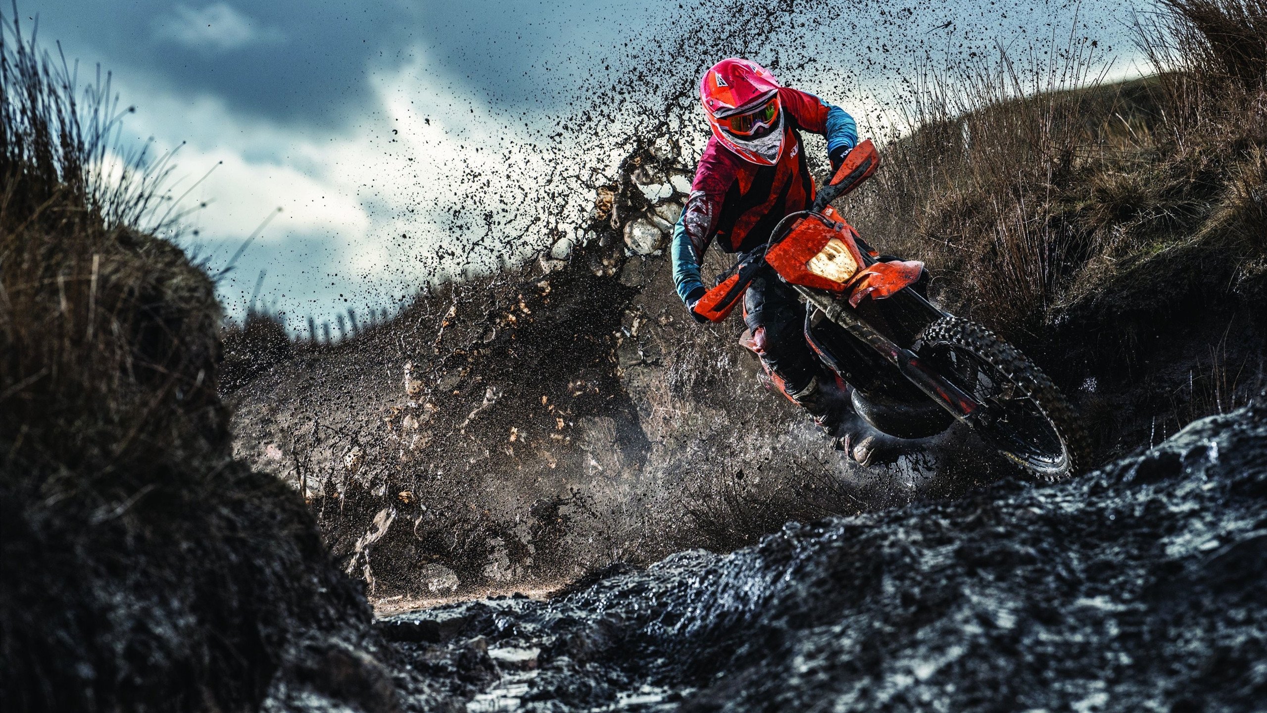 乌鸦那波配合太流畅了，四分卫节奏完美，乌鸦5=几